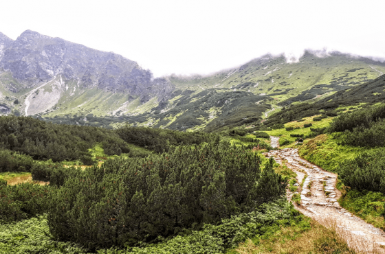 Przełęcz Liliowe – ulubione trasy w Tatrach
