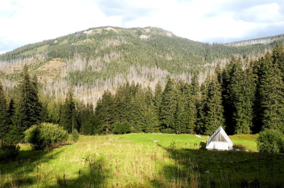 Wielki Kopieniec – ulubione trasy w Tatrach